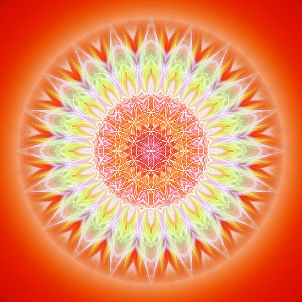 Mandala Health with Flower of Life by Christine Bässler