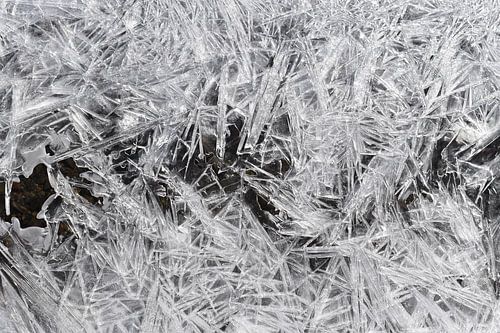 Een met rijp bedekt beekje in de herfst