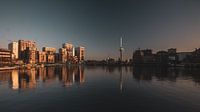 Two sides of Rotterdam