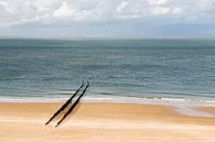 Ein menschenleerer Strand bei Zoutelande mit einer Reihe von Wellenbrechern von Kim Willems Miniaturansicht