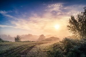 Der Weg zur Sonne von Martijn Kort