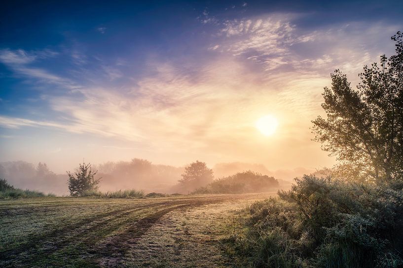 Chemin vers le soleil par Martijn Kort