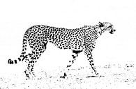 Abstracte cheetah van Sharing Wildlife thumbnail