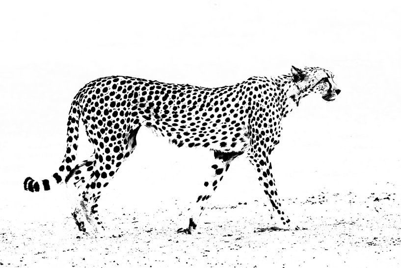 Abstracte cheetah van Sharing Wildlife