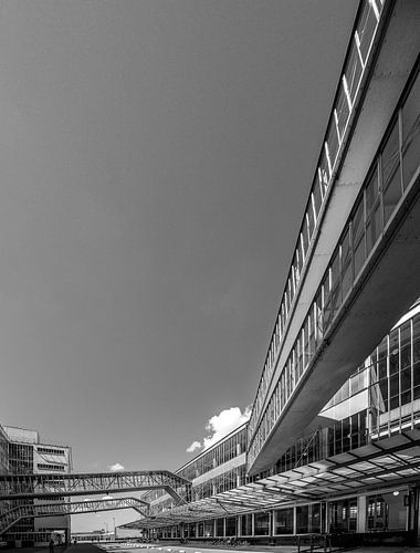 Van Nelle factory, Rotterdam