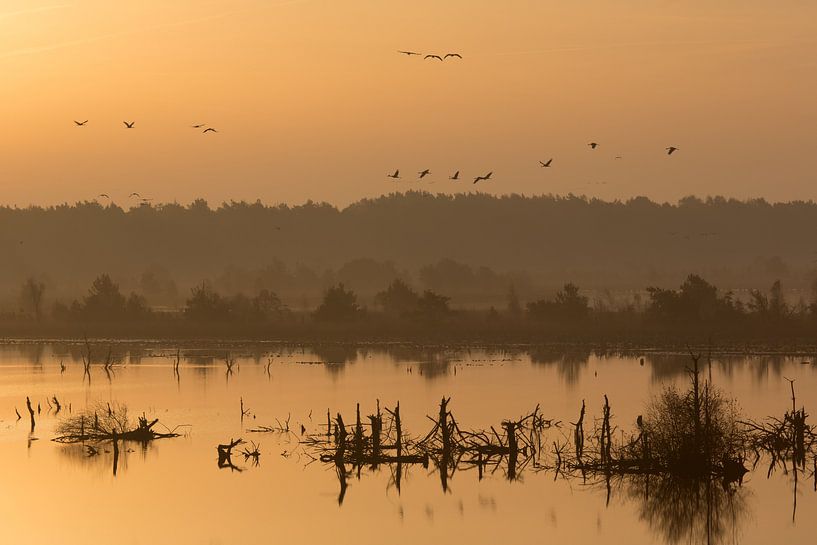 Zonsopgang over de heide van Angelika Stern