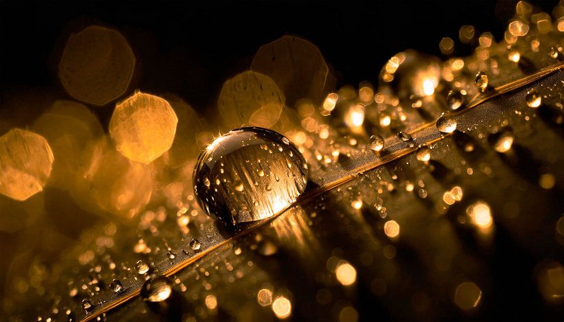Raindrops with pattern by Mustafa Kurnaz
