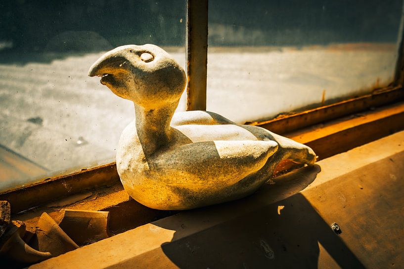 Le vilain petit canard dans la lumière - Objet perdu dans une pièce abandonnée par Infinite Decay