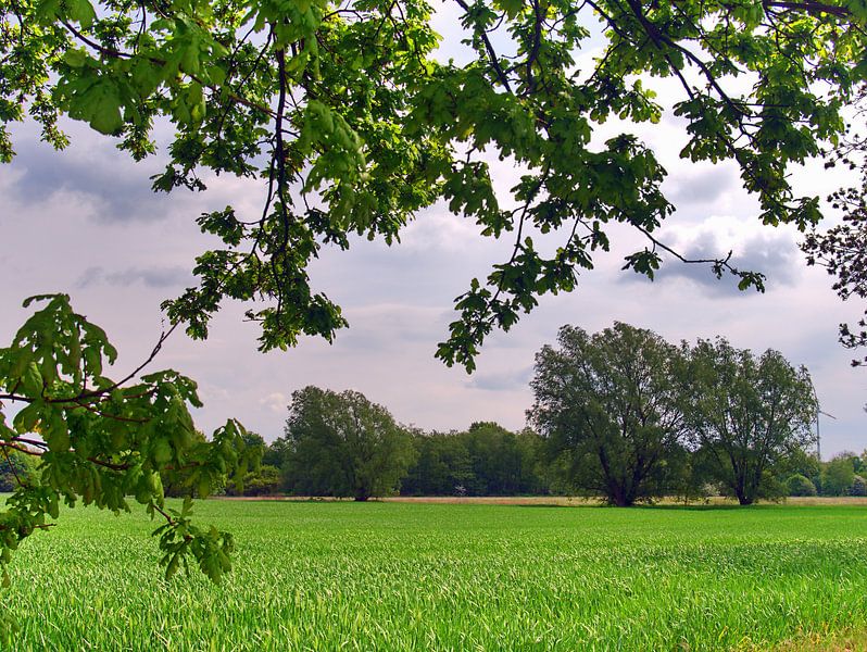 Dortmund 33 par Edgar Schermaul