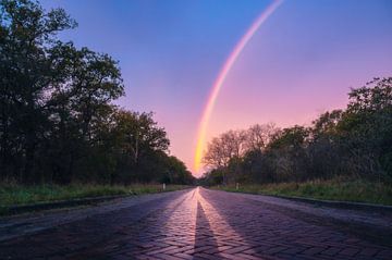 Regenboog bij zonsopkomst In Meijendel van Paul Poot