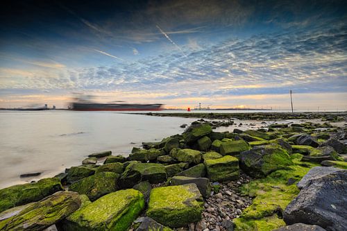ship across the New Waterway