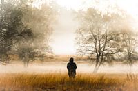Ochtendwandeling in de mist