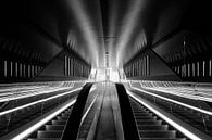 Up and Down by Framed by Elisabeth thumbnail