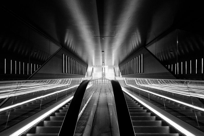 Up and Down by Framed by Elisabeth