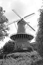 Molen de Windhond von Rob Hendriks Miniaturansicht