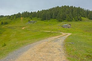 Bergpfad in den französischen Alpen