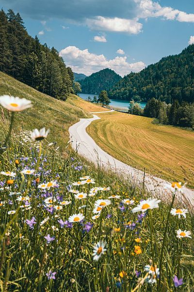 L'été au Tyrol par SJ Media