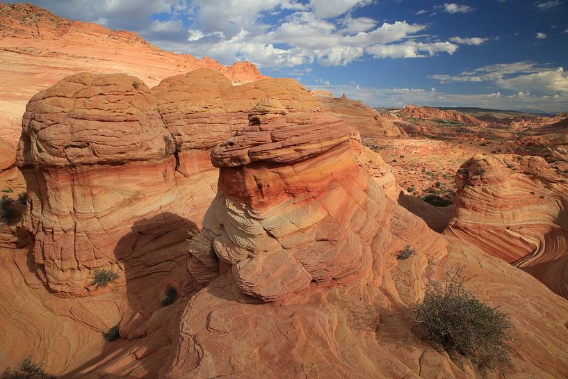 Rotsformaties in de North Coyote Buttes, deel van het Vermilion Cliffs National Monument. Dit gebied van Frank Fichtmüller