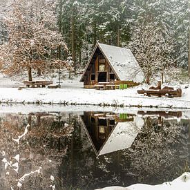 Winter im Schwarzwald van Jurriaan Schuurmans