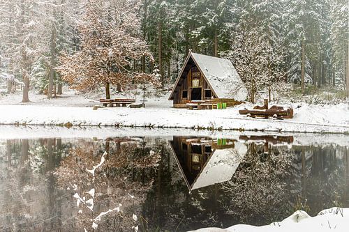 L'hiver dans la Forêt-Noire