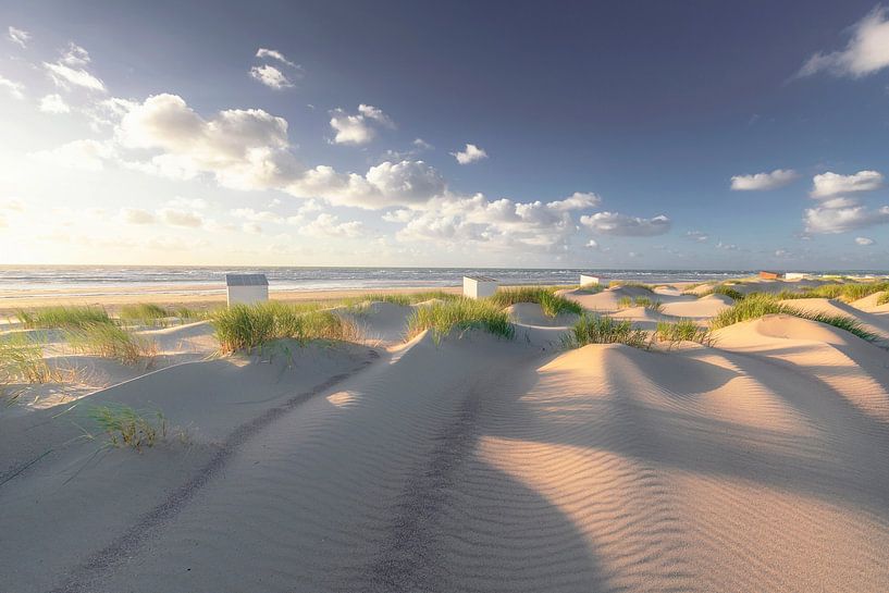 Road to Freedom (duinen Oostkapelle) van Thom Brouwer