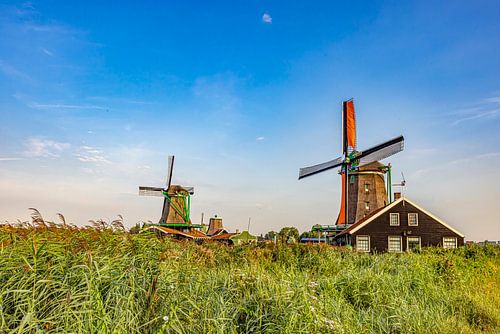 De Zaanse Schans, Nederland