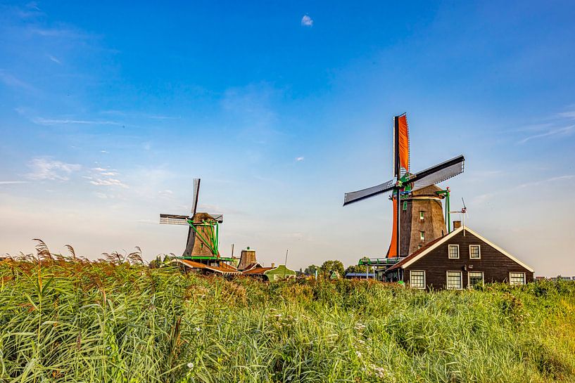 Die Zaanse Schans, Niederlande von Gert Hilbink