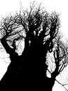 Tree Magic 170 van MoArt (Maurice Heuts) thumbnail