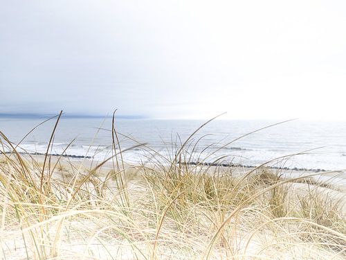 On the dune in Årgab by Danny Tchi Photography