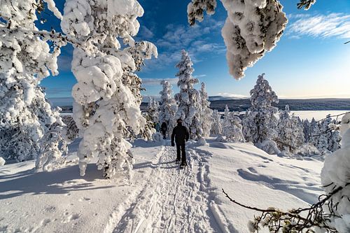 Promenade au pays des merveilles