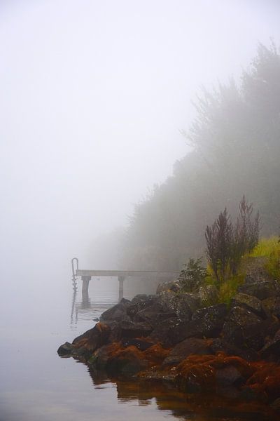 MAGIC IN THE MIST van Ernst van Voorst