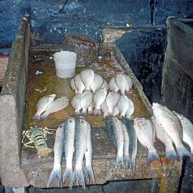 Fish market Stonetown (Mji Mkongwe), Zanzibar by Klaartje Jaspers