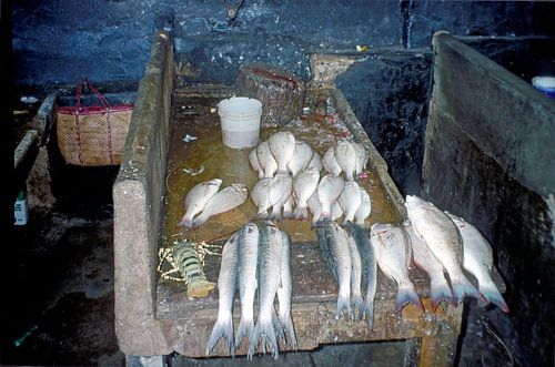 Fischmarkt Stonetown (Mji Mkongwe), Sansibar