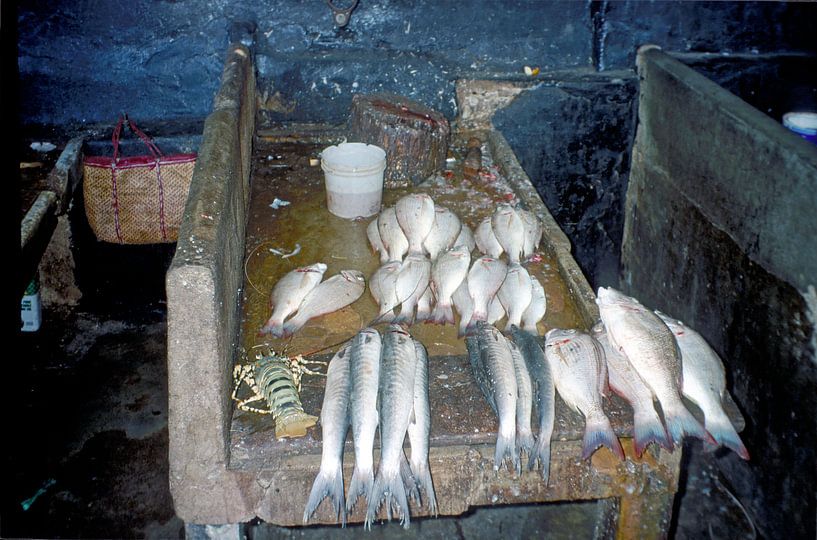 Marché aux poissons Stonetown (Mji Mkongwe), Zanzibar par Klaartje Jaspers