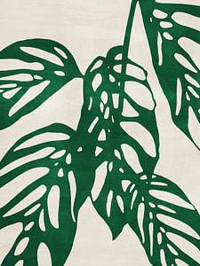 Monstera no. 1 Green