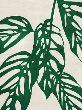 Monstera Nr. 1 Grün