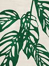 Monstera nr. 1 Groen van Adriano Oliveira thumbnail