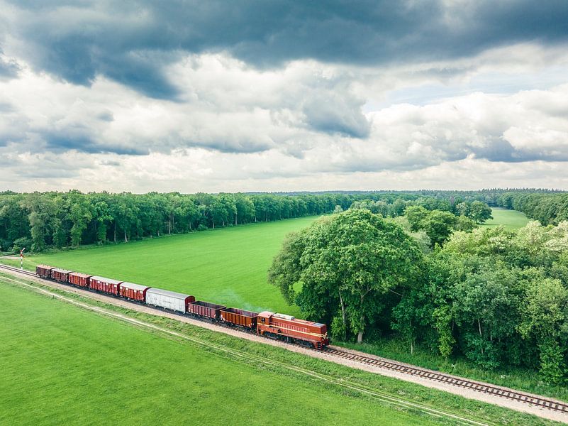 Oude diesel goederentrein op het platteland van Sjoerd van der Wal Fotografie