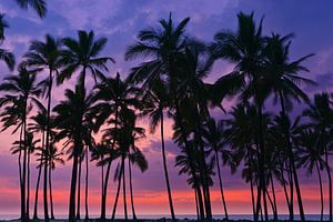Palms at Sunset at Pu'uhonua o Hōnaunau, Hawaii sur Henk Meijer Photography
