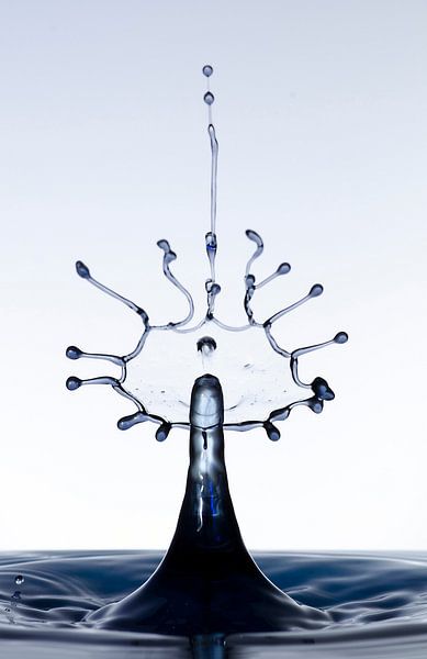 Black splash waterdrop van Focco van Eek