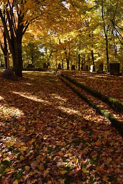 Le cimetière à l'automne sur Claude Laprise