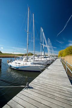 Hafen Seedorf, Insel Rügen