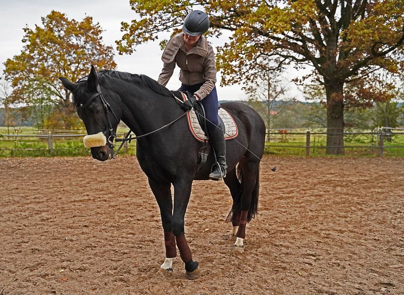 Training with the Bayer black horse Baveria on a riding arena in autumn by Babetts Bildergalerie