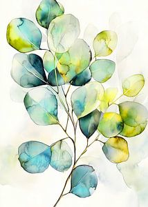 Eucaliptus Blätter Natur Kunst 9