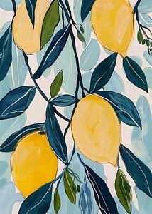 Citronnier