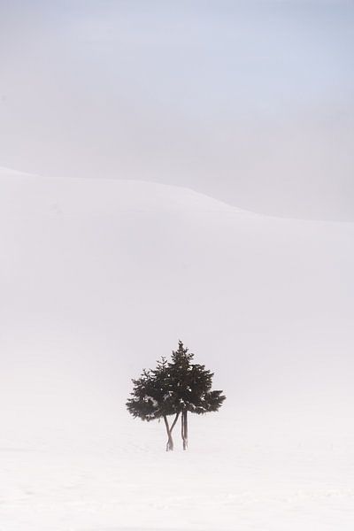 Snow dunes by mirrorlessphotographer