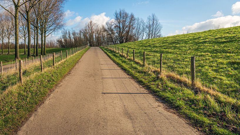 Driveway to a dike near the Dutch city of Dordrecht by Ruud Morijn