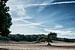 Soester Duinen met zand bomen en vliegtuigstrepen von Danny Motshagen