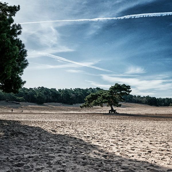 Soester Duinen met zand bomen en vliegtuigstrepen van Danny Motshagen