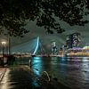 Uitzicht over Maas Rotterdam, Erasmusbrug, cruiseschip en De Rotterdam van Renzo Gerritsen